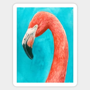 Flamingo Sticker